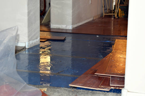 Professional Basement Flood Cleanup technician working in Albion, NY